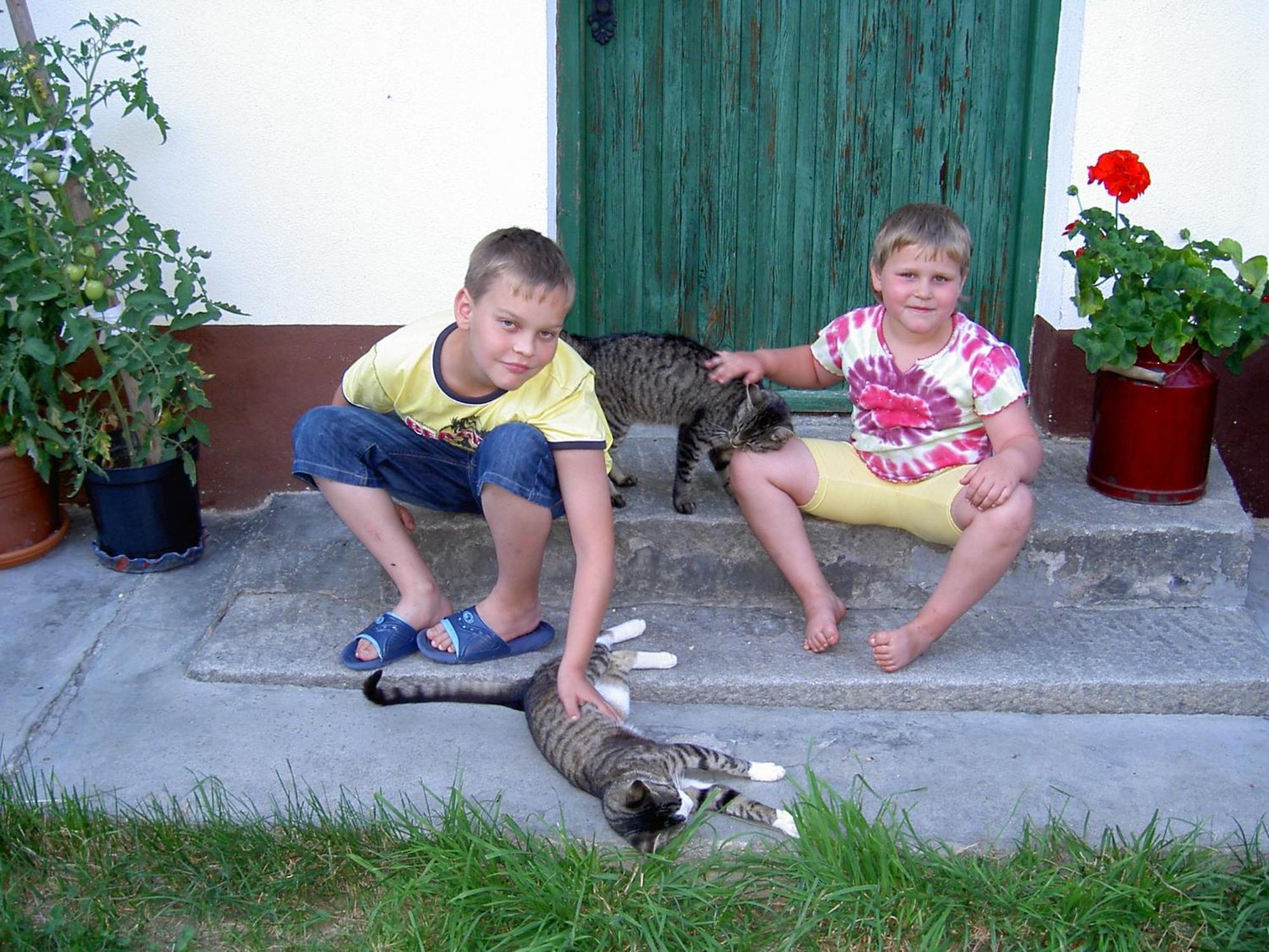 Willa Urlaub Am Bauernhof Wenigeder - Familie Klopf Gutau Zewnętrze zdjęcie
