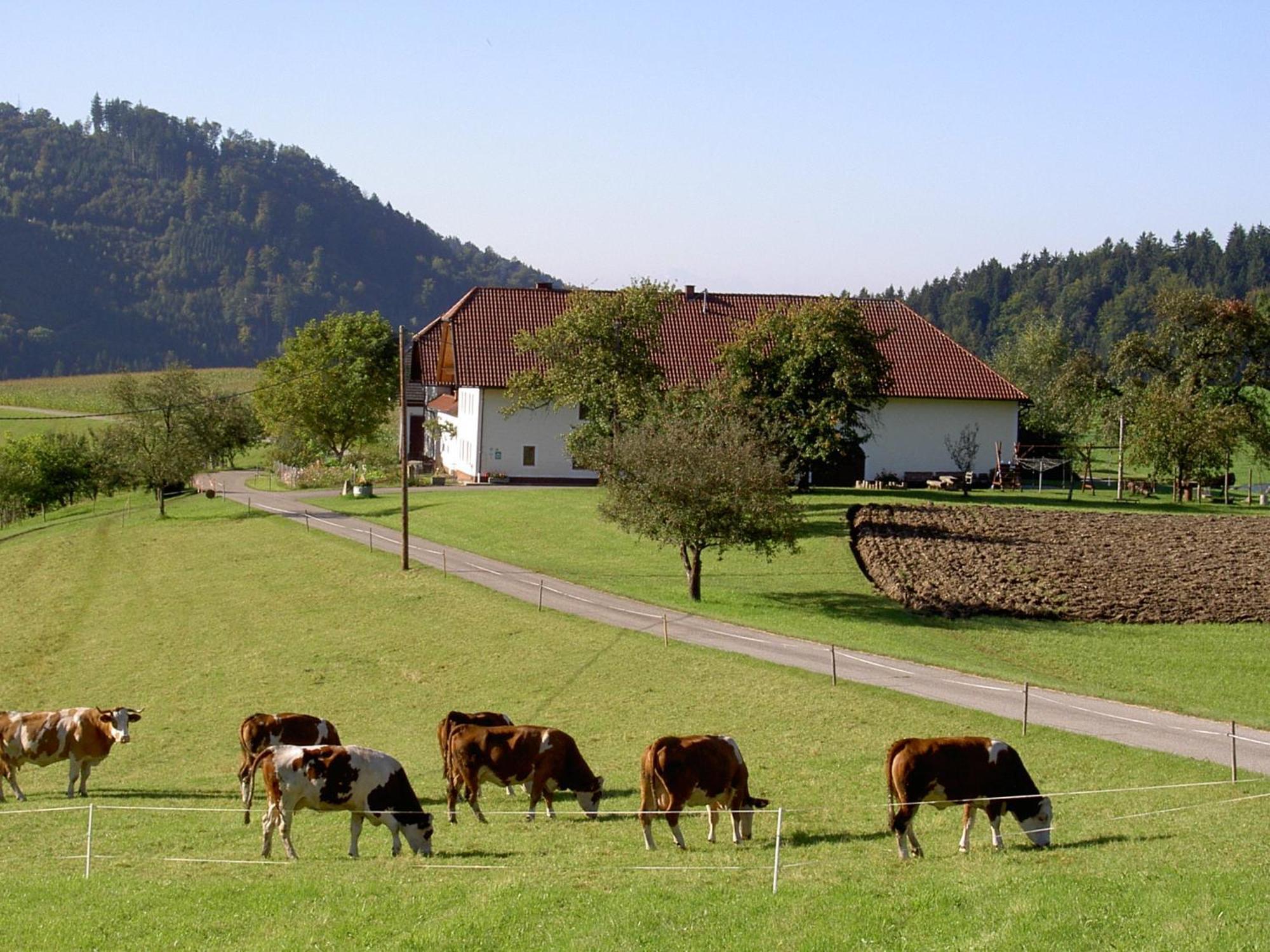 Willa Urlaub Am Bauernhof Wenigeder - Familie Klopf Gutau Zewnętrze zdjęcie