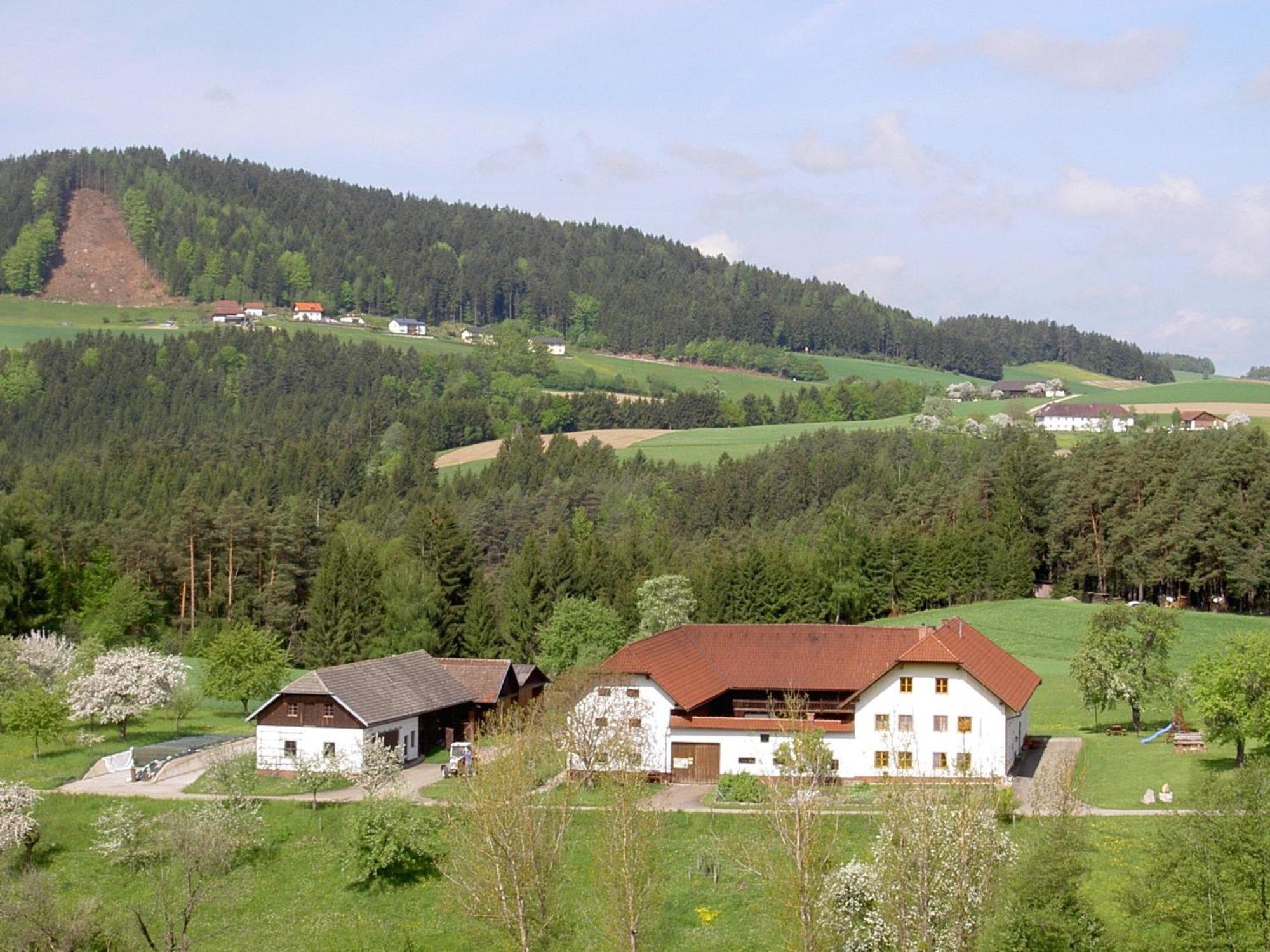 Willa Urlaub Am Bauernhof Wenigeder - Familie Klopf Gutau Zewnętrze zdjęcie